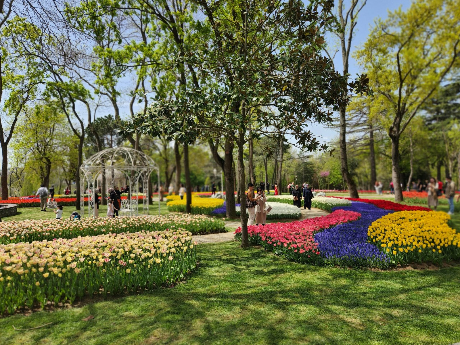 a park filled with lots of colorful flowers